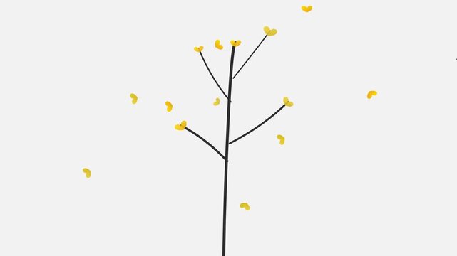 contemporary ginkgo tree yellow leaves dropping on gray