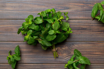 Mint leaf. Fresh mint on Colored background. Mint leaves isolated Top view with copy space © sosiukin