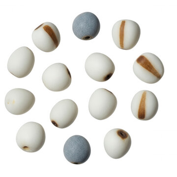 Scattered job's tears seeds, white and grey coix lacryma-jobi grains with brown stripes isolated on a black background