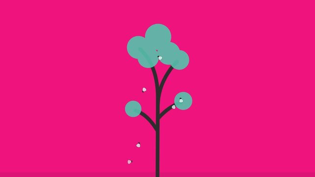 Ash Tree With Spinning Seed Pods Animation