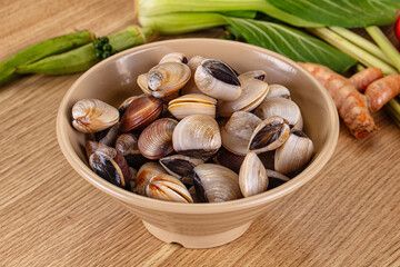 Raw fresh wild clams mollusc © Andrei Starostin