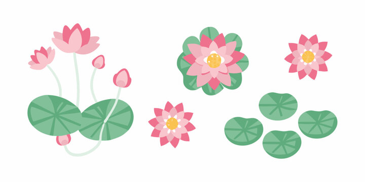 pink lotus flowers and lily pads flat vector illustration