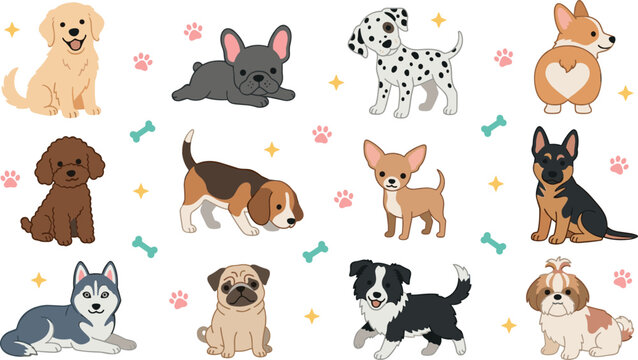 Cute Puppy Breed Vector Illustration Set Featuring Golden Retriever French Bulldog Dalmatian Corgi Poodle Beagle Chihuahua German Shepherd Husky Pug Border Collie ShihTzu