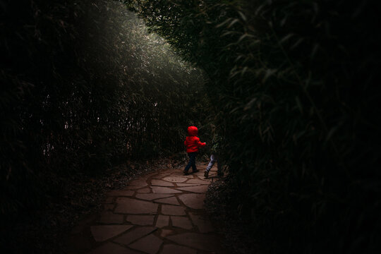 Boy Walking Through Tree Tunnel
