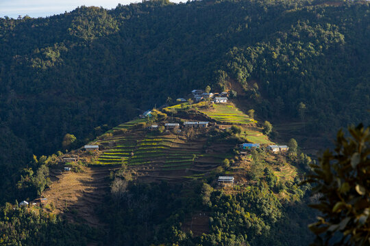Nepali Hill Village Surrounded by Mustard Fields and Houses
