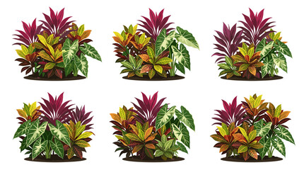 Fototapeta premium Vibrant Tropical Plants Grouped in Six Distinct Arrangements Ideal for Landscaping and Garden Design