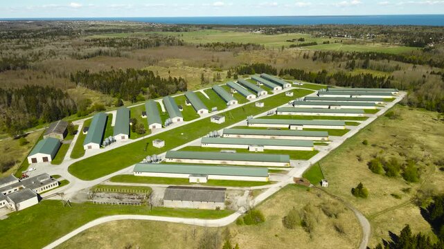 Aerial Orbiting View of an Industrial Poultry Chicken Farm in a Rural Landscape