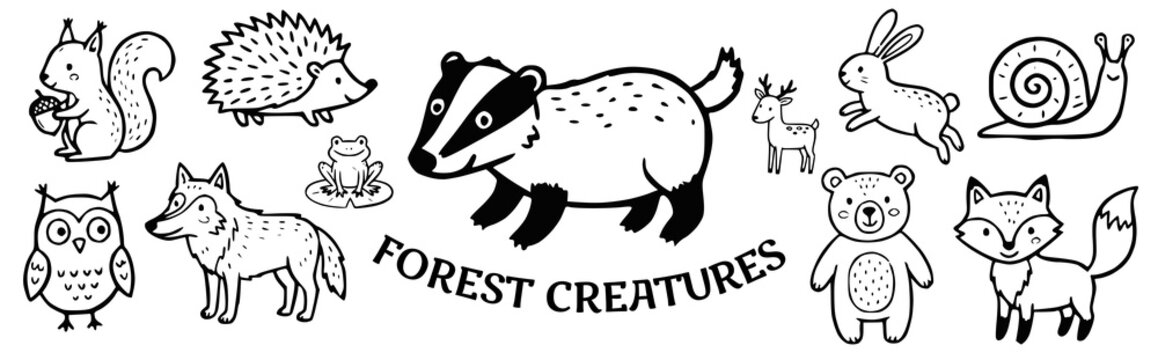Forest creatures Doodle Vector Illustration