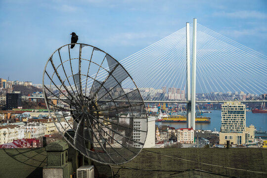Rooftop antenna with crow overlooking Golden Horn Bay and Zolotoy Bridge in Vladivostok, Russia, with port cranes and dense urban waterfront.
