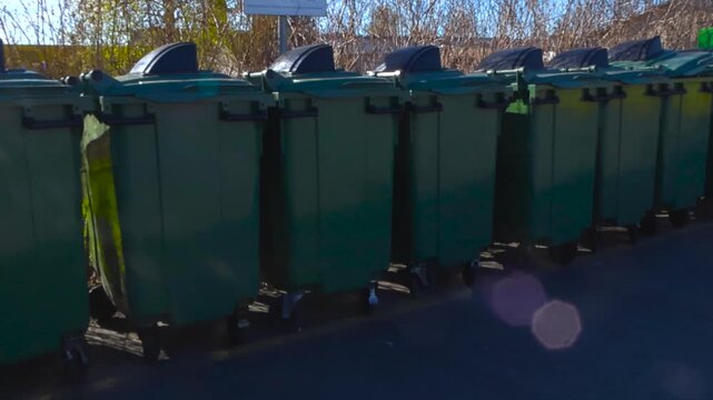 Green Garbage Bins Lined Up for Collection on a Sunny Day