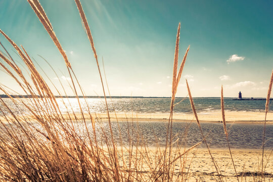 Golden dune grass frames a sunlit view of the Atlantic coast at Cape Henlopen State Park with a distant lighthouse.
