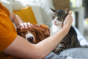 Man sitting on sofa at home stroking senior cat and sleeping dog. Human animal bond, pet care, companionship and cozy lifestyle concept. © Chalabala