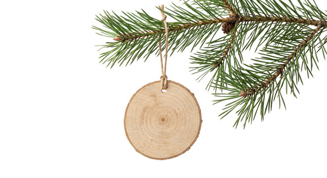 Round wood slice ornament mockup hanging on pine branch on transparent background