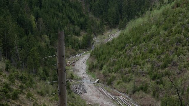 Logging and deforestation in Tatra Mountains National Park Poland. Wood logs in dry mountain valley floor surrounded by evergreen forest and clear-cut slopes under cloudy sky in the spring.