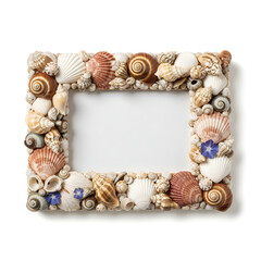 Fototapeta premium Decorative seashell and flower frame border design
