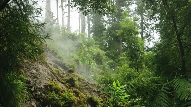 natural steam vent in the rock, showing the intense pressure of geothermal vapor escaping from a dark volcanic opening.