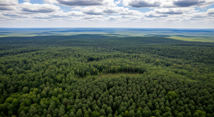 Naklejka premium Aerial view of a vast green forest landscape with trees and clouds