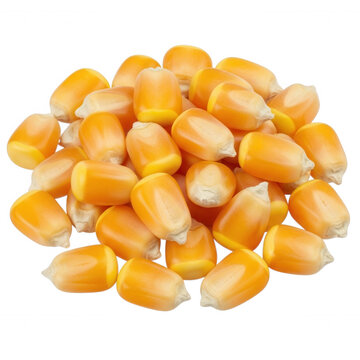 A dense pile of raw, dried yellow corn kernels isolated against a solid black background, showing texture and organic shapes