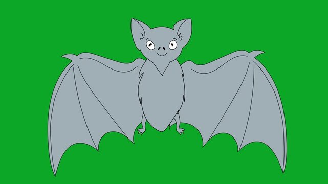 Hand Drawn Grey Bat Spreading Wings Front View 2D Animation on Green Screen