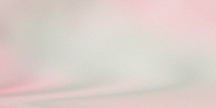 Foggy landscape with low visibility and muted colors