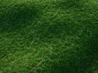 Fototapeta premium Low angle view of tall green grass swaying with blurred natural countryside backdrop.