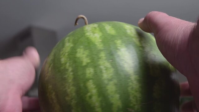 Hand holding a round watermelon showcasing its unique shape and texture in a well-lit indoor setting