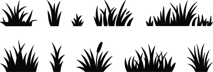 Grass silhouette collection vector illustration with wild meadow plants isolated nature decorative design artwork set collection © Masum