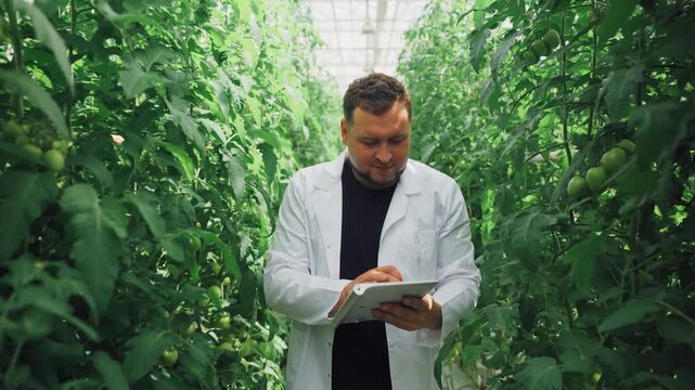 Farmer examine crops. Scientists study plant growth methods. Field experts observe watering and growth details. Agricultural specialists closely track stage advancements and irrigation techniques