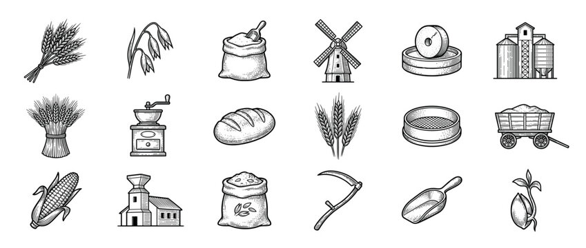 Various hand-drawn black and white illustrations depict a collection of agricultural elements, including grains, tools, and processing equipment