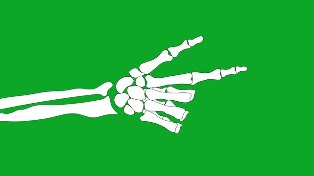 2D Animated Skeleton Bone Hand Showing Peace Sign Gesture on Green Screen