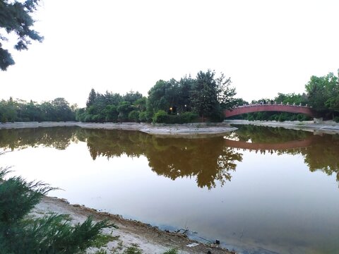 Still lake with perfect reflection of trees and sky. Peaceful waterscape with bridge and lush greenery creating mirror like surface.