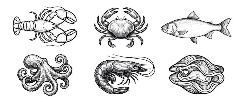 Collection of hand-drawn seafood illustrations including lobster, crab, fish, octopus, shrimp, and clam in a vintage engraving style