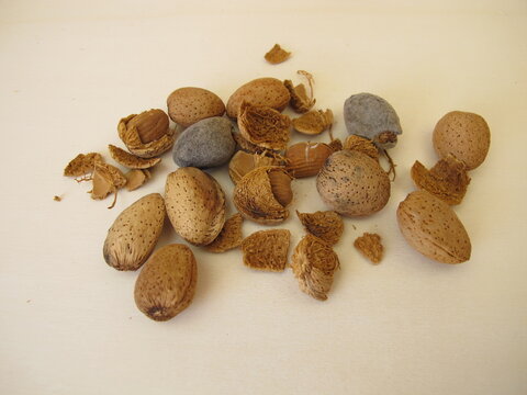 Whole and cracked sweet almonds with and without shells on a wooden background