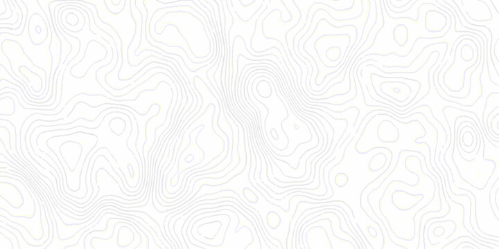 White topography topology vector white background fresh contour map texture. white seamless pattern wave Topography and geography map grid abstract backdrop.