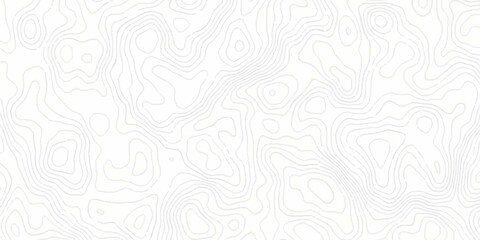White topography topology vector white background fresh contour map texture. white seamless pattern wave Topography and geography map grid abstract backdrop. © Mr Jishana