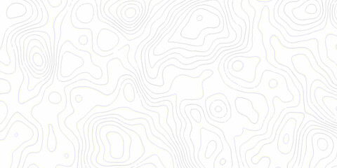 White topography topology vector white background fresh contour map texture. white seamless pattern wave Topography and geography map grid abstract backdrop. © Mr Jishana