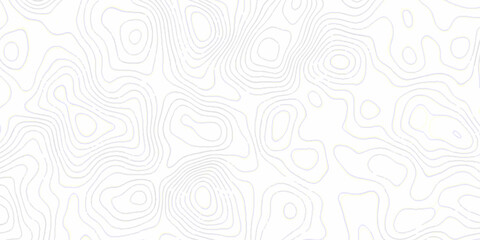 White topography topology vector white background fresh contour map texture. white seamless pattern wave Topography and geography map grid abstract backdrop. © Mr Jishana