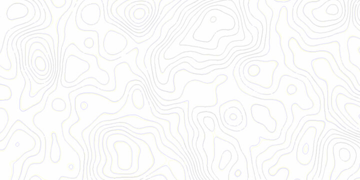 White topography topology vector white background fresh contour map texture. white seamless pattern wave Topography and geography map grid abstract backdrop.