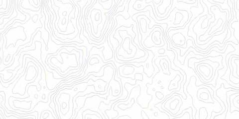 White topography topology vector white background fresh contour map texture. white seamless pattern wave Topography and geography map grid abstract backdrop. © Mr Jishana