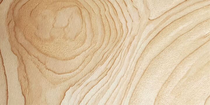 A natural brown hardwood texture background with a rough wooden pattern showcases the macro grain of an old pine timber plank surface