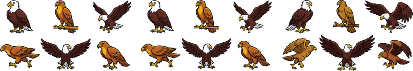 Fototapeta premium Majestic Eagle and Hawk Bird of Prey Vector Illustration Set Featuring Powerful Poses for American Patriotic Designs Sports Mascots and Wilderness Conservation Graphics