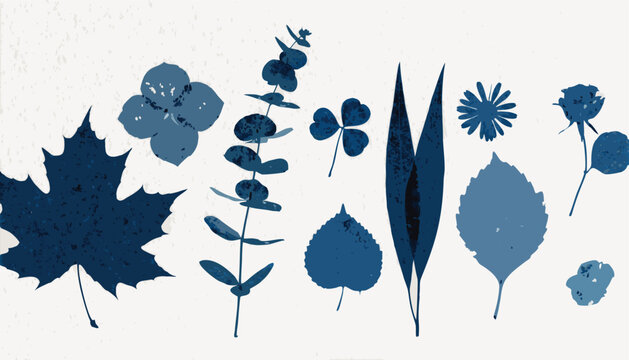 Indigo botanical study a collection of blue leaf silhouettes on pale background