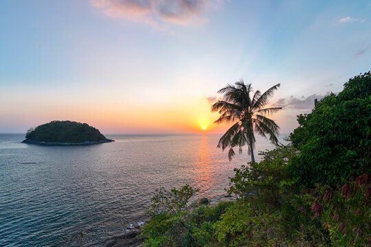 Sunset casts warm colors across a calm tropical sea, highlighting a distant, green island. A tall palm tree and lush foliage frame the view from a coastal hillside
