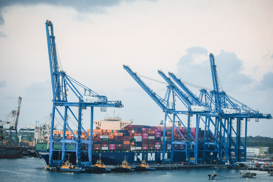 container ship docked at a busy maritime terminal surrounded by industrial cargo gantry cranes and tugboats during port logistics operations.