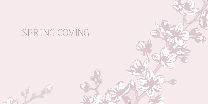 Cherry blossom branch illustration delicate pink floral design