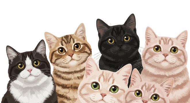 Group of adorable domestic cats looking directly at the viewer.