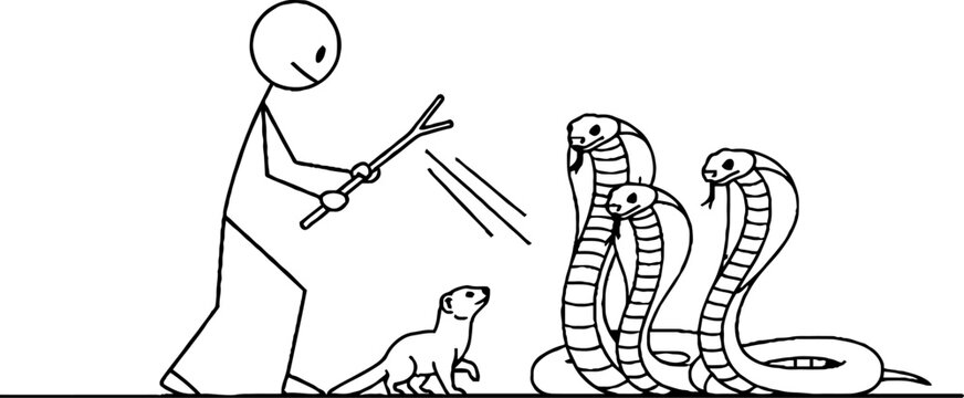 Man with mongoose facing three venomous cobras