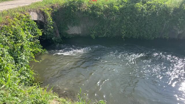Rural Stream Crossing: A clear, flowing stream winds through a green, overgrown bank, passing under a small concrete culvert surrounded by lush vegetation and sunlight dappling the water.