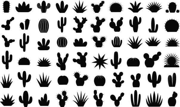 Cactus and succulent silhouette vector collection, desert plant icons, botanical illustration set, black shapes, decorative nature design