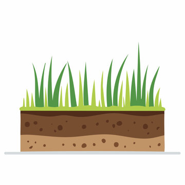 Cross-section of soil with grass and roots